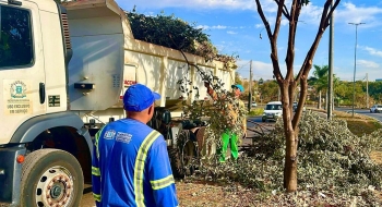 Saiba como solicitar gratuitamente serviços de limpeza e zeladoria urbana